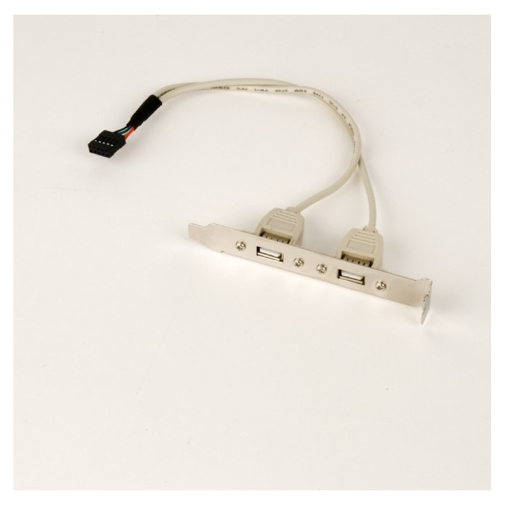 USB GEMBIRD кабел сплитер USB 2.0 (T) към 2 x USB 2.0 (M) 25 см, прехвърля 1 USB от вътрешен компютър на външен брак "CCUSBRECEP