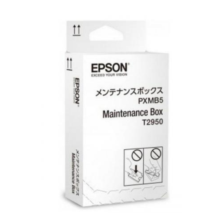 Оригинален комплект за поддръжка Epson T2950 за WorkForce WF-100 "C13T295000" (RAPO)